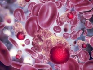 Cientistas Usam Imãs Para Remover Doenças Do Sangue Blog Contabily Contabilidade - Contabilidade em Brusque - SC  | Contabily